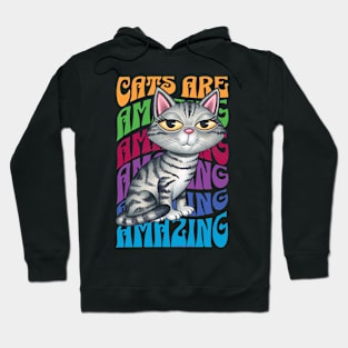 Gray Tabby Cats are Amazing Hoodie